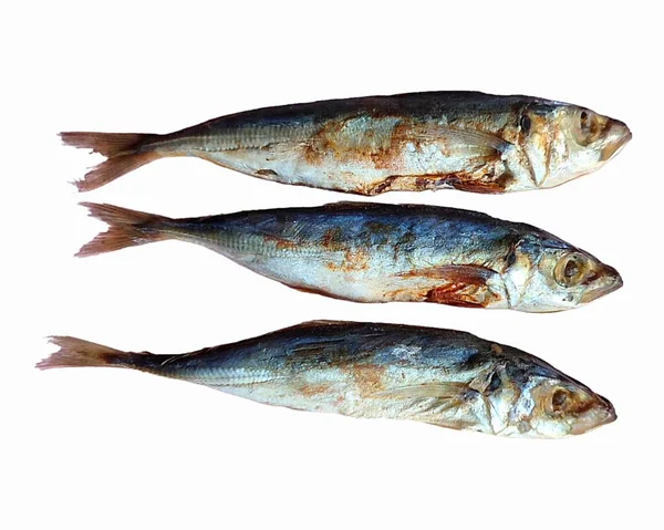 Beyaz Arka Planda Izole Edilmiş Taze Balık Üst Görünüm Düzlüğü — Stok fotoğraf