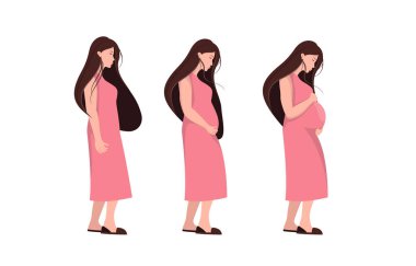 Hamileliğin ana aşamaları. Hamilelik boyunca bir kadının vücudunda her hafta değişiklikler olur. Bilgi grafiklerine ayarlayın. Hamilelik takvimi. Düz stok vektör illüstrasyonu