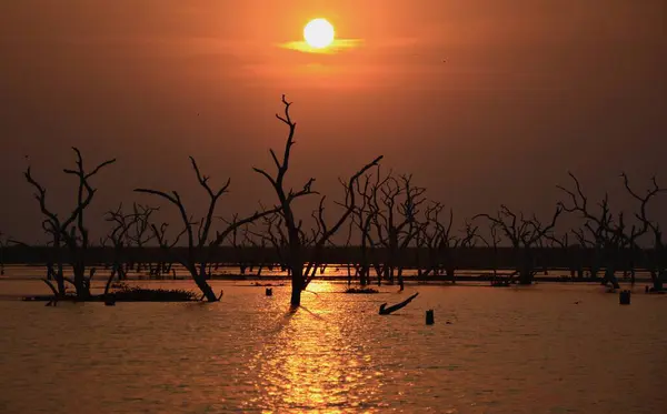 Atardecer on Baado las estrellas, Provincia de Formosa,