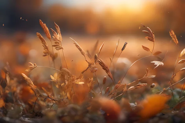 Σετ Κίτρινο Φθινόπωρο Κοντινό Πλάνο Στο Πάτωμα Ηλιοβασίλεμα Φόντου — Διανυσματικό Αρχείο