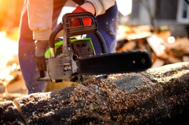 Gasoline Chainsaw. Close-up of woodcutter sawing chain saw in motion, sawdust fly. Concept is to bring down, pile trees.