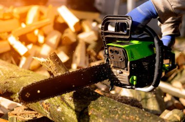 Gasoline Chainsaw. Close-up of woodcutter sawing chain saw in motion, sawdust fly. Concept is to bring down, pile trees.
