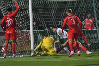 Lviv, Ukraine. Ambrosiy Chachua reacts after scoring a goal during the Ukrainian Premier League football match between FC Karpaty Lviv and FC Veres Rivne on December 7, 2024 in Lviv, Ukraine. clipart