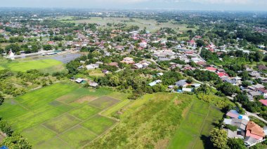 Pirinç tarlasının ve kırsal bölgedeki köyün havadan görünüşü