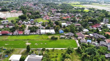 Pirinç tarlasının ve kırsal bölgedeki köyün havadan görünüşü