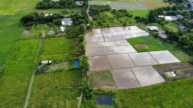 Kırsaldaki çeltik tarlasının havadan görünüşü, Tayland 'da tarım