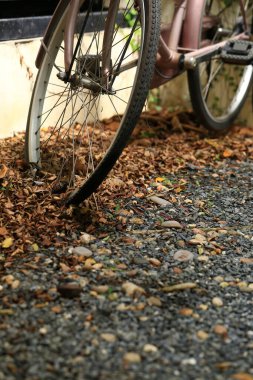 Yerde sonbahar yaprakları olan bisiklet tekerleği. Yerde kuru yapraklar, üst görünüm, arkaplan dokusu.