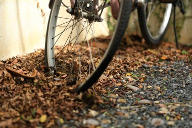 Yerde sonbahar yaprakları olan bisiklet tekerleği. Yerde kuru yapraklar, üst görünüm, arkaplan dokusu.