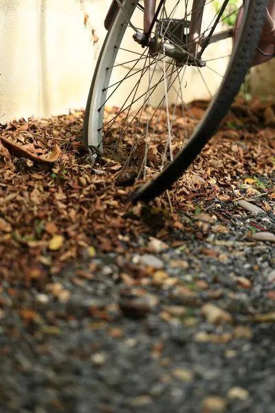 stock image bicycle wheel with autumn leaves on the ground. dry leaves on the ground, top view, background texture.