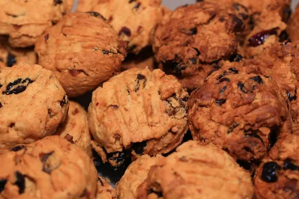 stock image Homemade oat cookies with raisins and cranberries