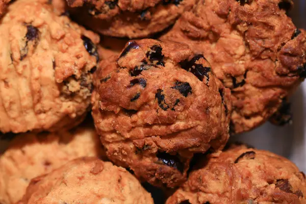 stock image Homemade oat cookies with raisins and cranberries