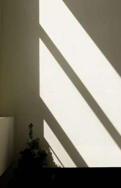 Bir odanın duvarındaki gölgede Pencereden gelen bir ışık