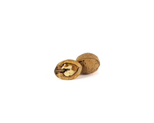 Pile Peeled Walnuts Closeup High Quality Photo — Stock Photo, Image