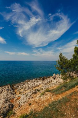 Hırvatistan - Istria 'daki güzel Akdeniz kıyısı manzarası. Porec plajı, Adriyatik Denizi. Yüksek kalite fotoğraf