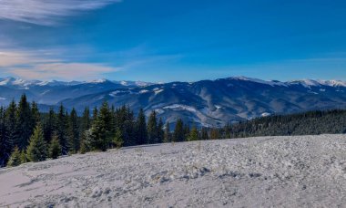 Kış zamanı Karpat Dağları 'nın panoramik manzarası. Yüksek kalite fotoğraf