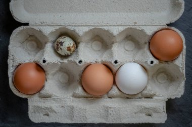 Kağıt tepside taze bıldırcın ve tavuk yumurtası, üst görünüm seçici odaklanma. Yüksek kalite fotoğraf