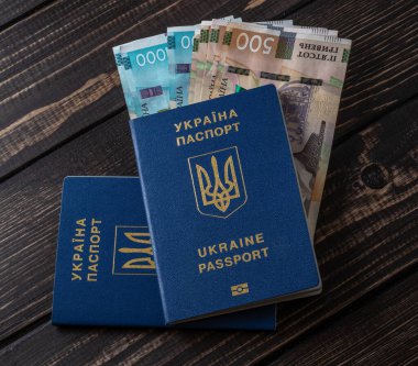 Ukrayna pasaportu ve 100 euroluk banknotlar. Yüksek kaliteli fotoğraf.