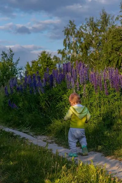 Anne ve çocuk çiçek tarlasında yürüyorlar. Yüksek kalite fotoğraf