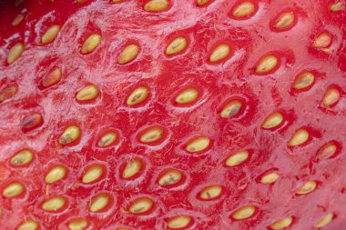 Olgun kırmızı lezzetli çilek makrosu çeşitli parçalar ve tek bir yakın çekim yüksek kaliteli fotoğraf