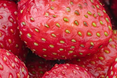 Olgun kırmızı lezzetli çilek makrosu çeşitli parçalar ve tek bir yakın çekim yüksek kaliteli fotoğraf