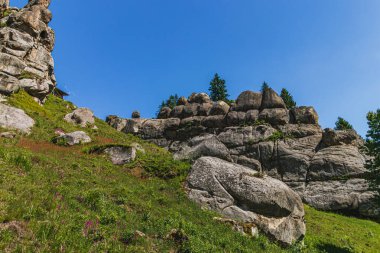 Tustan Kalesi 'nde bir kaya parçası Skole Beskids Ulusal Doğa Parkı Lviv Bölgesi Yüksek kaliteli fotoğraf