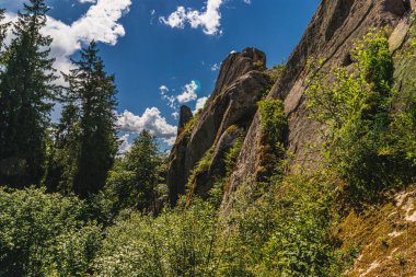 Tustan Kalesi 'nde bir kaya parçası Skole Beskids Ulusal Doğa Parkı Lviv Bölgesi Yüksek kaliteli fotoğraf