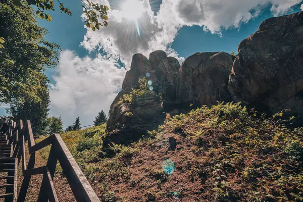 Tustan Kalesi 'nde bir kaya parçası Skole Beskids Ulusal Doğa Parkı Lviv Bölgesi Yüksek kaliteli fotoğraf