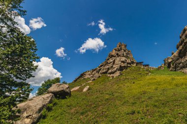 Tustan Kalesi 'nde bir kaya parçası Skole Beskids Ulusal Doğa Parkı Lviv Bölgesi Yüksek kaliteli fotoğraf