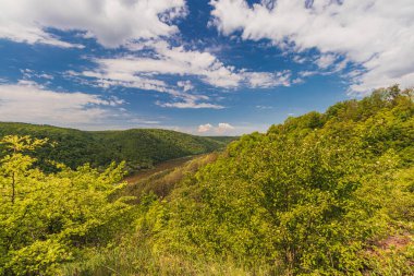 Ulusal Doğal Park Dinyester Kanyonu, Ukrayna Letjache Yüksek Kaliteli Fotoğraf