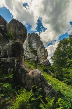 Tustan Kalesi 'nde bir kaya parçası Skole Beskids Ulusal Doğa Parkı Lviv Bölgesi Yüksek kaliteli fotoğraf