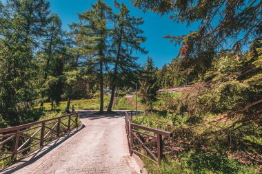 Güneşli bir günde köprünün karşısındaki kozalaklı parkta bir patika.