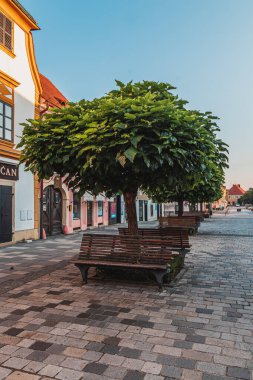 Barok kenti Varazdin Meydanı manzaralı, kuzey Hırvatistan Varazdin Hırvatistan Yüksek kaliteli fotoğraf