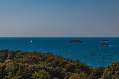 Hırvatistan 'ın İstrian yarımadasındaki tarihi Vrsar Panoraması' nda çam ormanları yüksek kaliteli fotoğraf