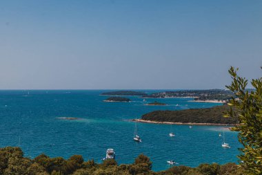 Hırvatistan 'ın İstrian yarımadasındaki tarihi Vrsar Panoraması' nda çam ormanları yüksek kaliteli fotoğraf