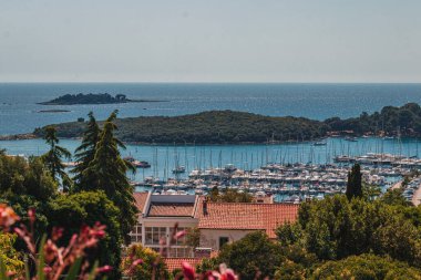 Hırvatistan 'ın İstrian yarımadasındaki tarihi Vrsar Panoraması' nda çam ormanları yüksek kaliteli fotoğraf