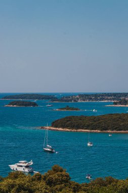 Hırvatistan 'ın İstrian yarımadasındaki tarihi Vrsar Panoraması' nda çam ormanları yüksek kaliteli fotoğraf