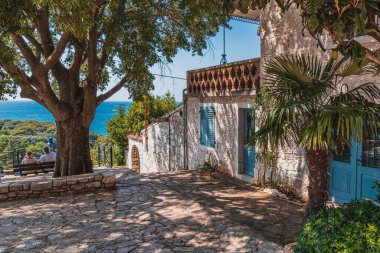İnsanlar adaların, kozalaklı parkın, Vrsar Hırvatistan 'ın 08.07.24 kaliteli fotoğrafının keyfini çıkarıyorlar.