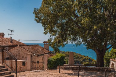 Hırvatistan 'ın İstrian yarımadasındaki tarihi Vrsar Panoraması' nda çam ormanları yüksek kaliteli fotoğraf