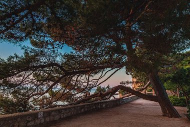 Krk Hırvatistan Eski kalenin duvarlarının yanında küçük bir meydan Yüksek kalite fotoğraf