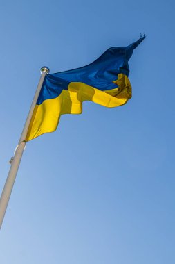 Mavi gökyüzü yüksek kaliteli fotoğrafının arka planında Ukrayna ulusal bayrağı.