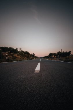 Krk Adası 'ndaki şehirlerarası yolda, zeytin ağaçlarının arasında..