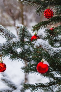 Noel ağacı süslemelerle süslenir ve yumuşak karla süslenir. Yüksek kalite fotoğraf.