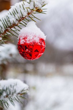 Noel ağacı süslemelerle süslenir ve yumuşak karla süslenir. Yüksek kalite fotoğraf.