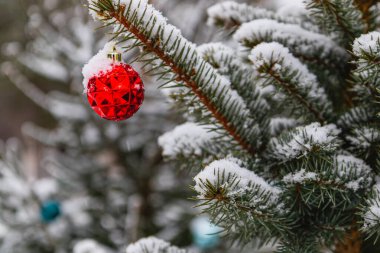 Noel ağacı canlı kırmızı süsler ve yumuşak bir kar tabakası ile süslenir..