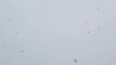 Kış başlarken, kar taneleri yoğun siste yavaşça düşer ve sakin bir atmosfer yaratır. Manzara, sükunet ve korkuyu çağrıştıran sihirli bir beyaz harikalar diyarına dönüşür..