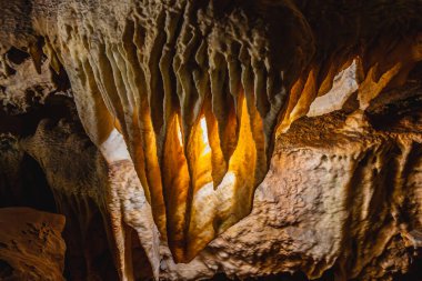 Stologmites and stoloctites glisten in warm light, revealing nature's artistry over sixty meters below ground in Croatia's mesmerizing caves, showcasing geology and archeology in perfect harmony. clipart