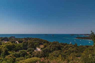 Hırvatistan 'ın İstrian yarımadasındaki tarihi Vrsar Panoraması' nda çam ormanları yüksek kaliteli fotoğraf
