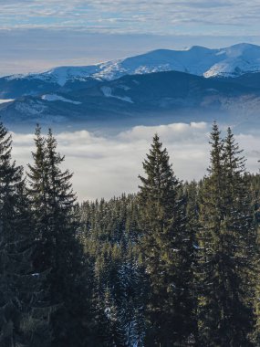 Polyanytsia Ukrayna 'da, 18 Ocak 2025' te nefes kesici bir kış manzarası başlar. Evergreen ağaçları sisli bir denizin üzerinde yükselirken uzak karlı dağlar güneşin altında parıldıyor..