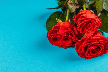 Üç güzel düzenlenmiş kırmızı gül zarif bir şekilde parlak mavi bir arka planda yatıyor. Zengin renk kontrastı karmaşık taç yaprakları ve gür yeşil yaprakları vurgular, herhangi bir ayara cazibe ekler.