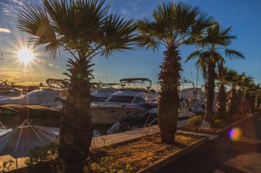 2 Temmuz 2024 'te güneş batarken, ziyaretçiler Porec Hırvatistan' daki pitoresk marina boyunca geziyorlar. Palmiye ağaçları, demirli teknelerin yanında tropikal bir atmosfer yaratıyor..